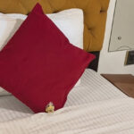 2025インドバングラデシュ旅行記-1初インド入国