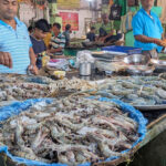 2025インドバングラデシュ旅行記-4 朝市ぶらぶら